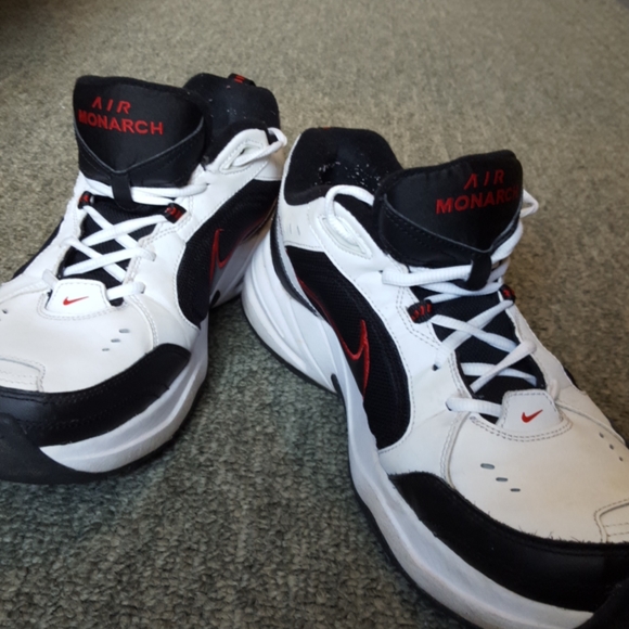 Nike Other - Nike Air Monarch Dad-core shoes